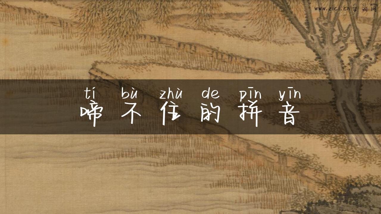 啼不住的拼音