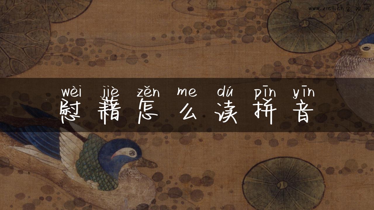 慰藉怎么读拼音