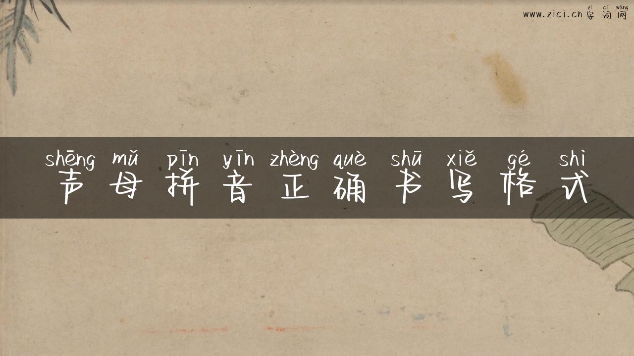 声母拼音正确书写格式