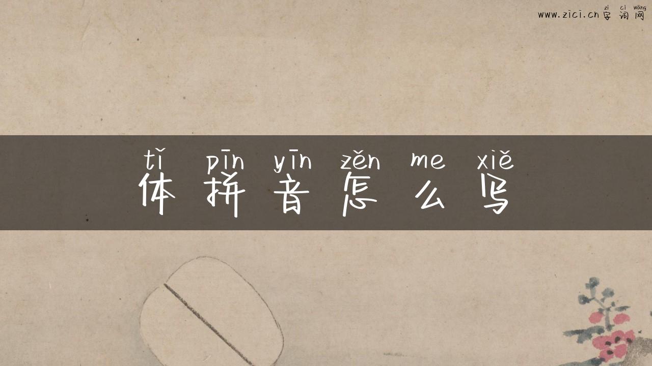体拼音怎么写