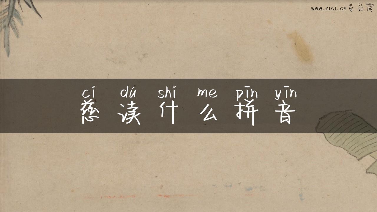 慈读什么拼音