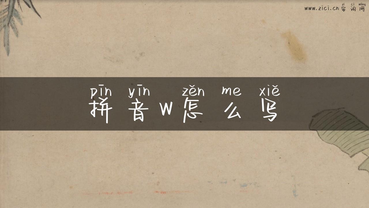拼音w怎么写
