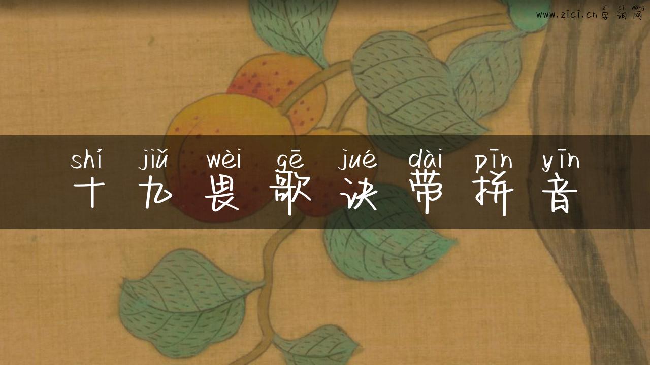 十九畏歌诀带拼音