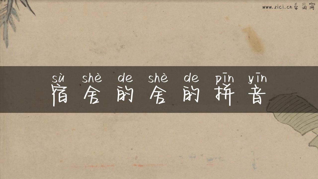 宿舍的舍的拼音