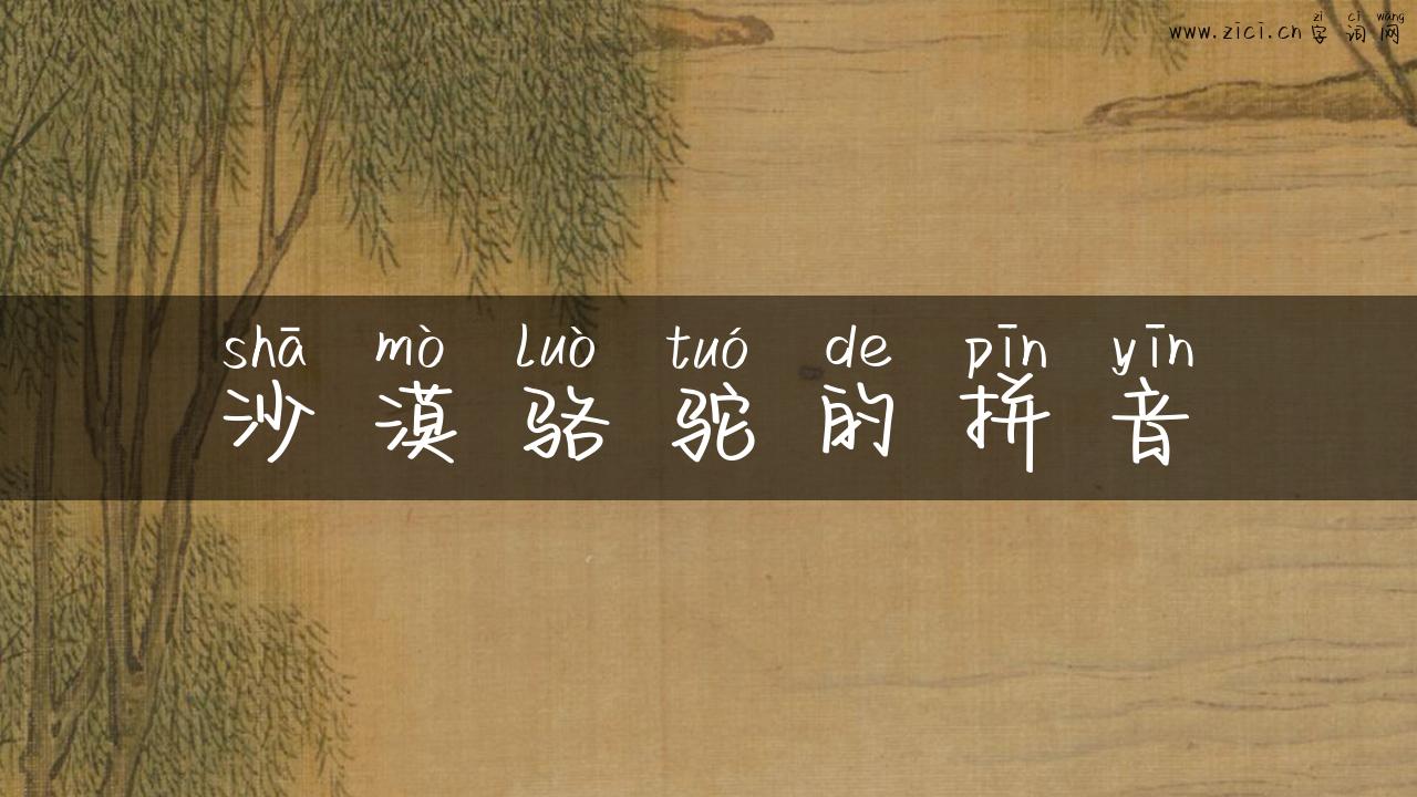 沙漠骆驼的拼音
