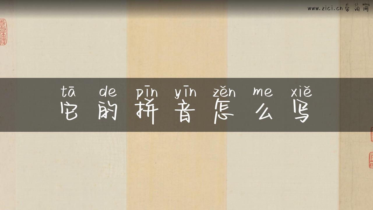 它的拼音怎么写