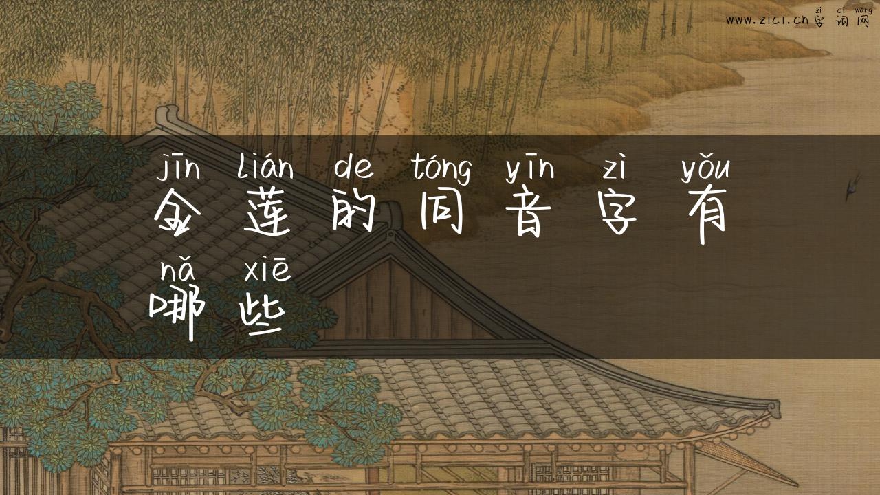金莲的同音字有哪些