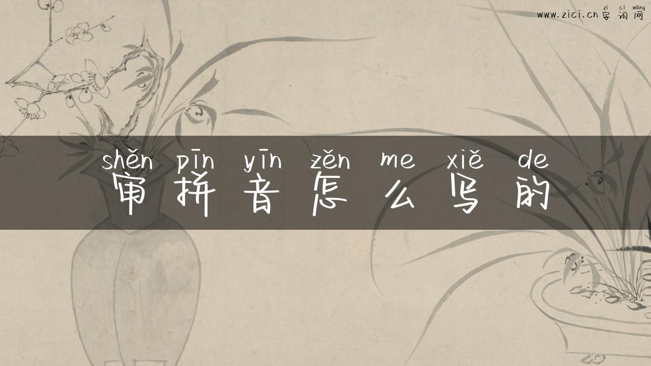 审拼音怎么写的