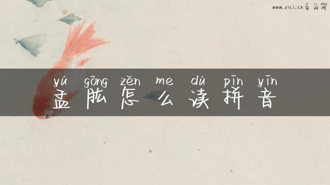 盂肱怎么读拼音