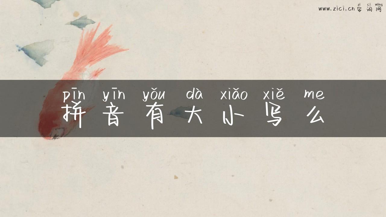 拼音有大小写么