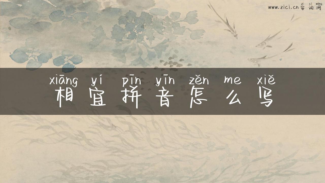 相宜拼音怎么写