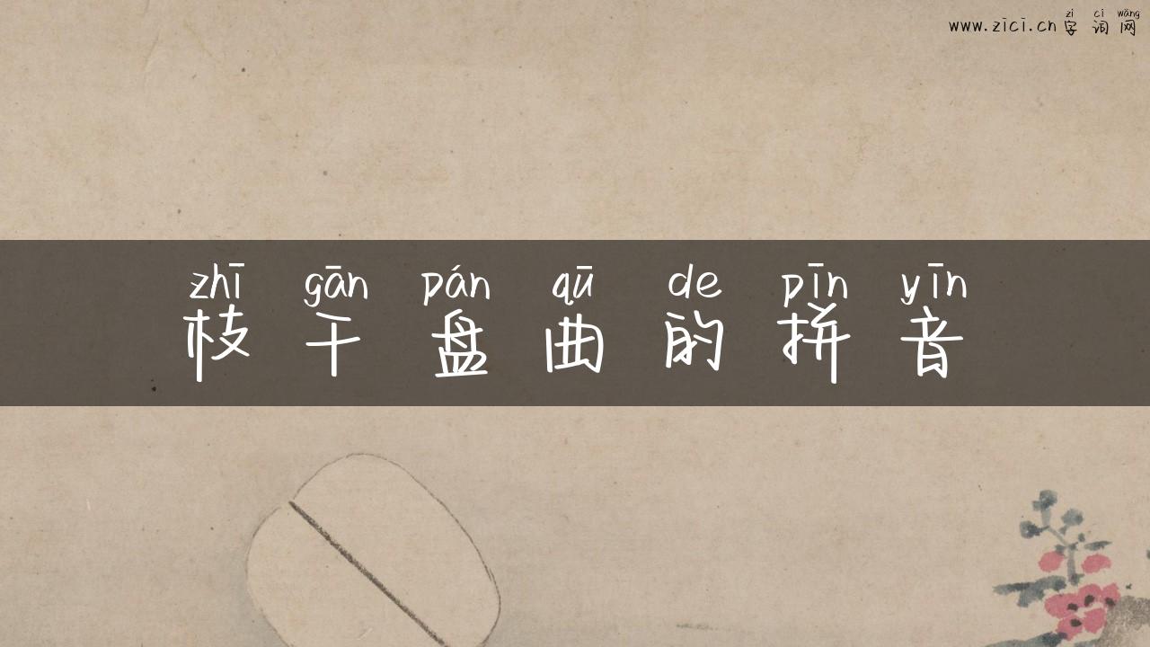 枝干盘曲的拼音
