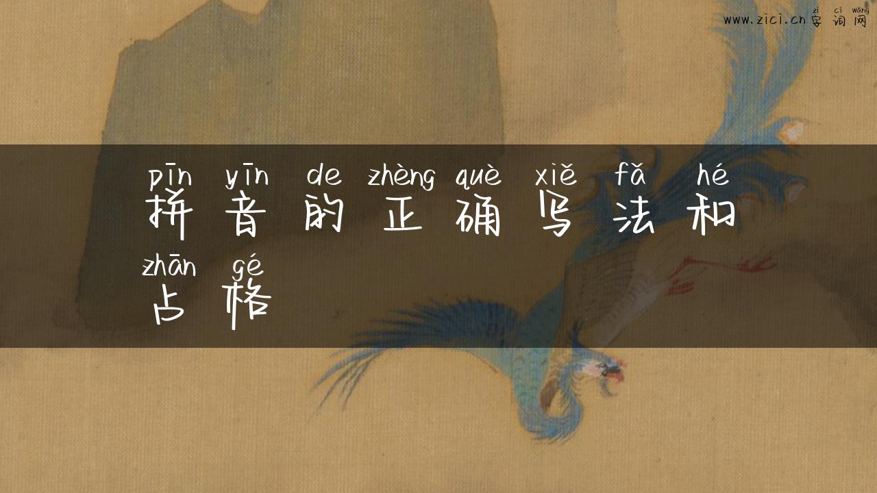 拼音的正确写法和占格