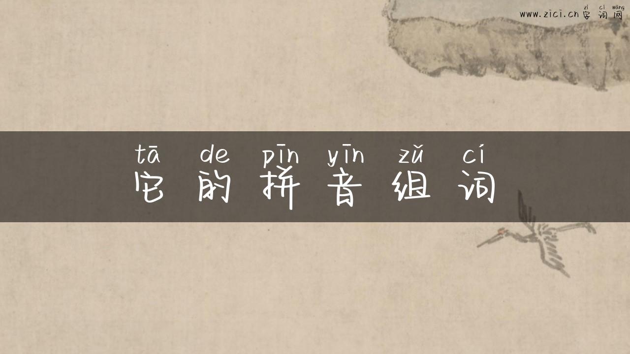 它的拼音组词