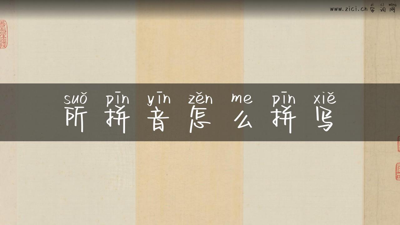 所拼音怎么拼写