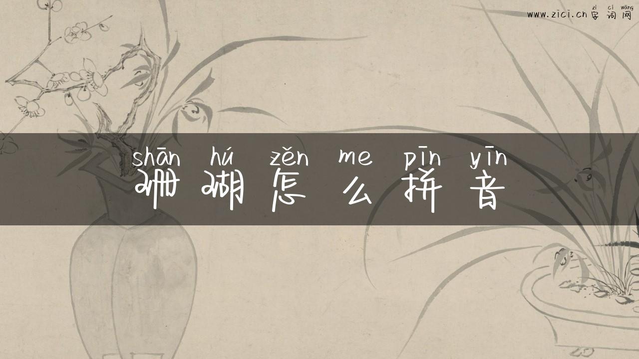 珊瑚怎么拼音