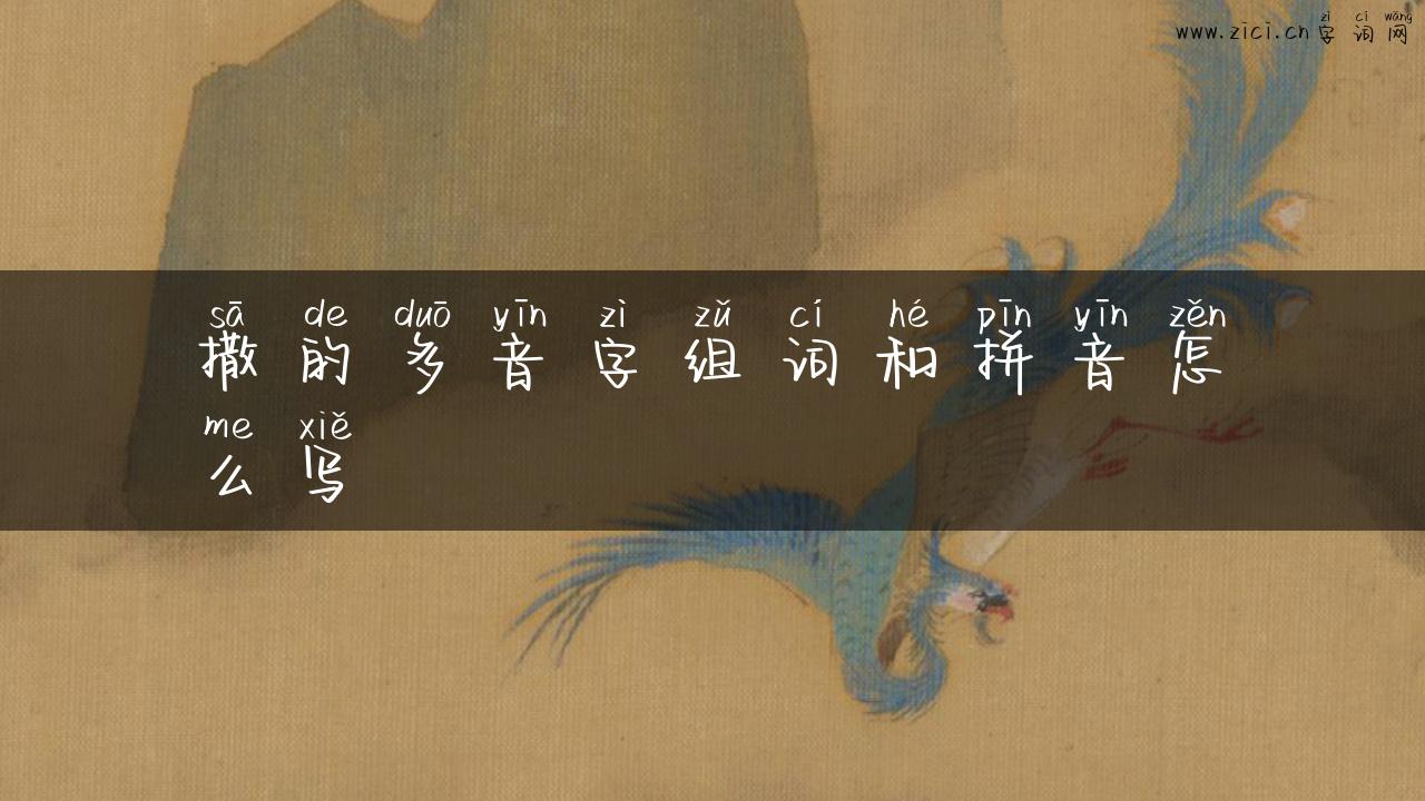 撒的多音字组词和拼音怎么写