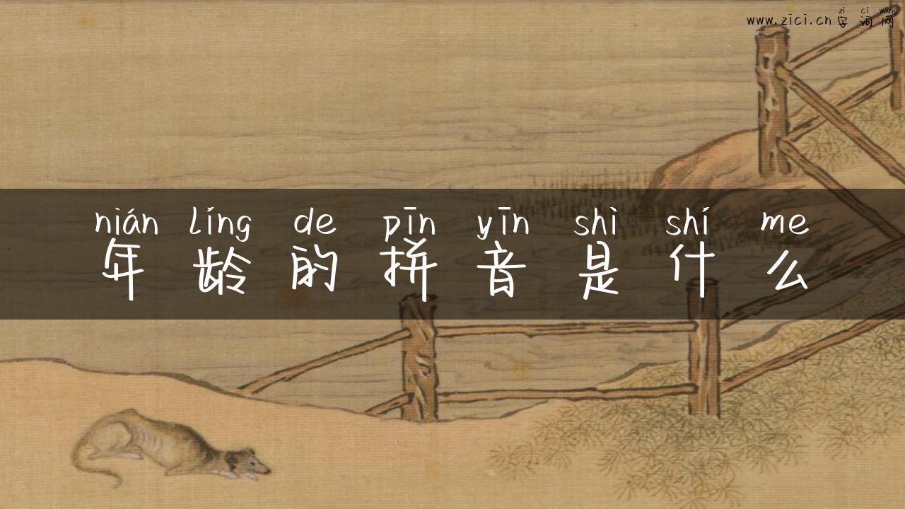 年龄的拼音是什么