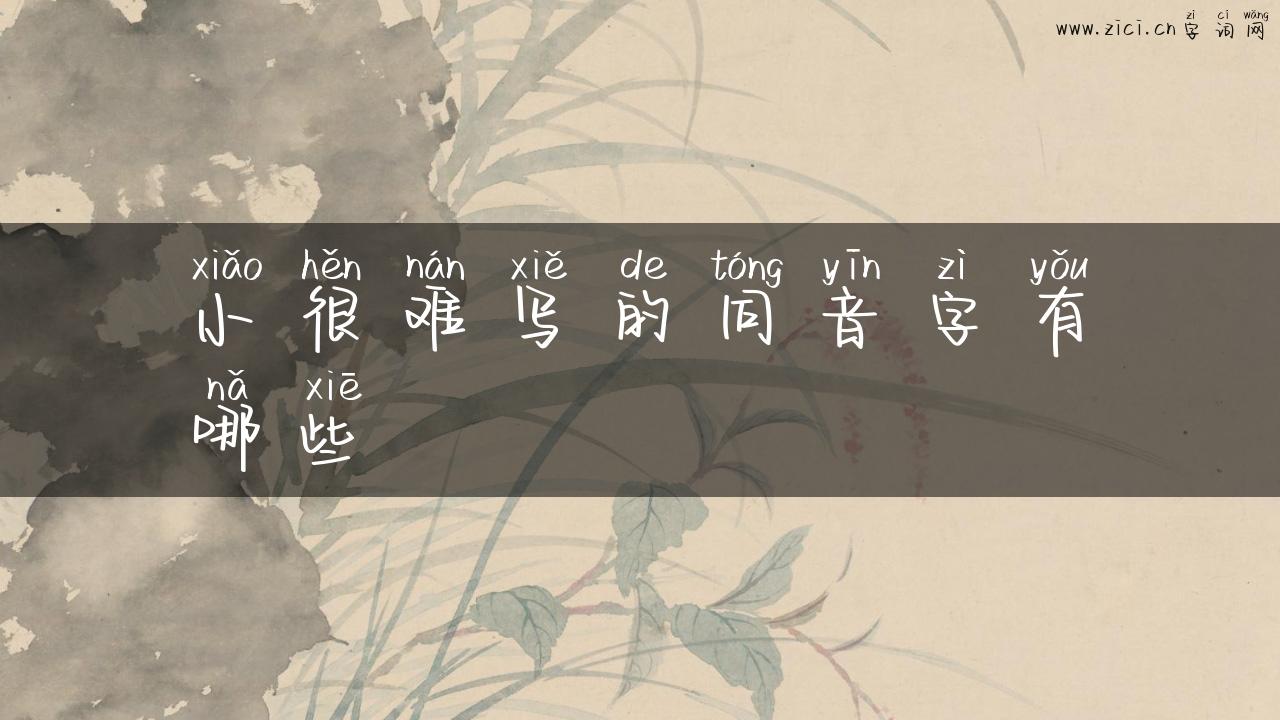 小很难写的同音字有哪些