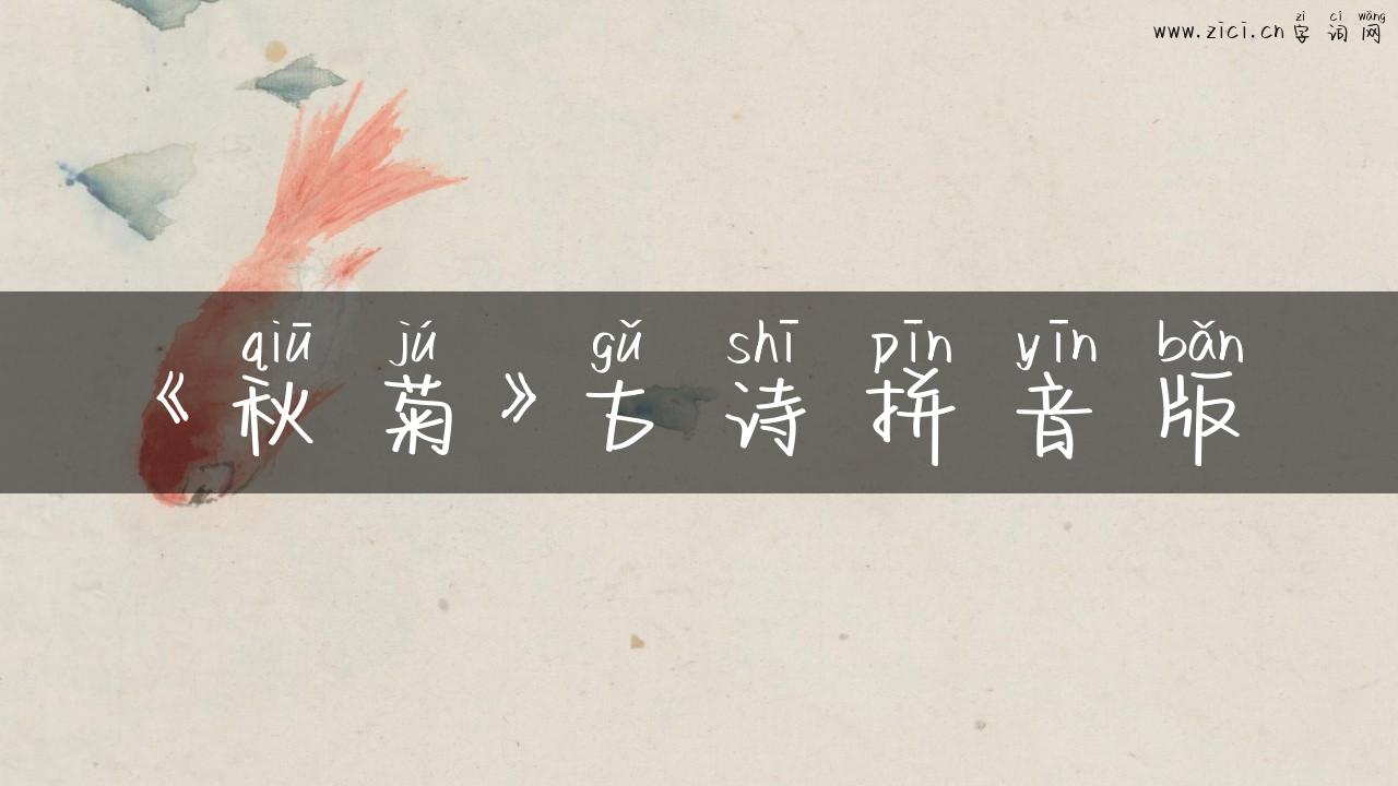 《秋菊》古诗拼音版