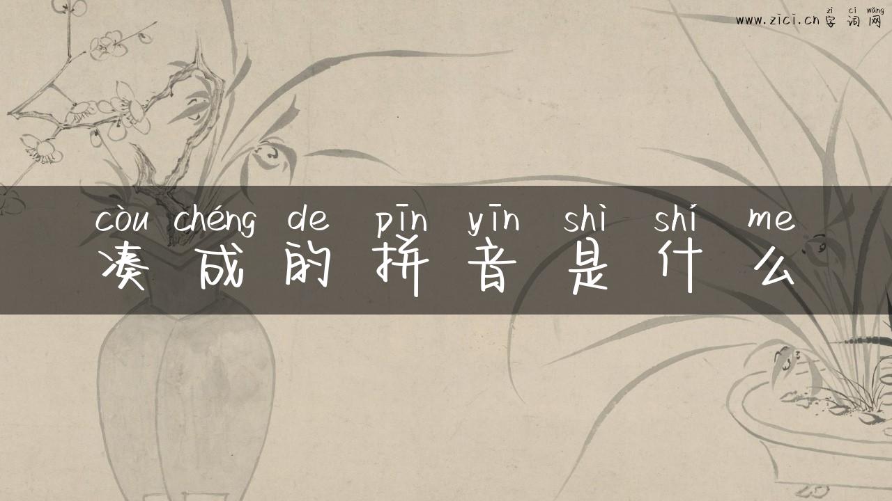 凑成的拼音是什么