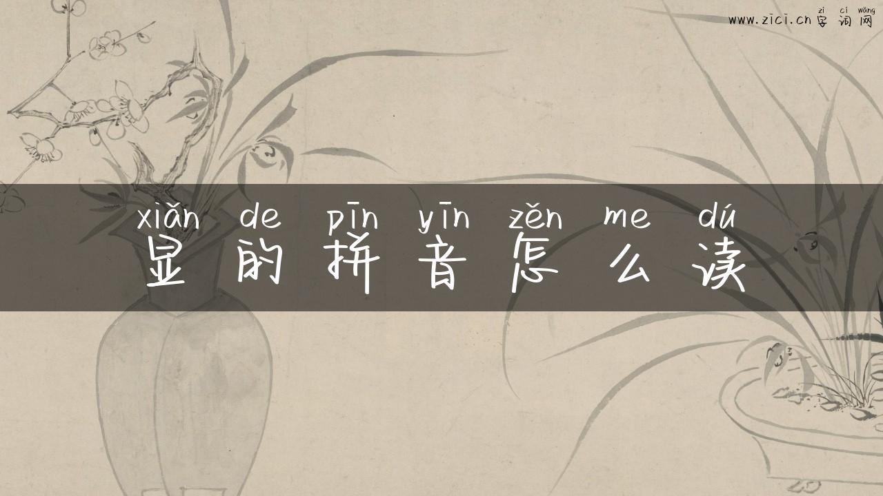 显的拼音怎么读