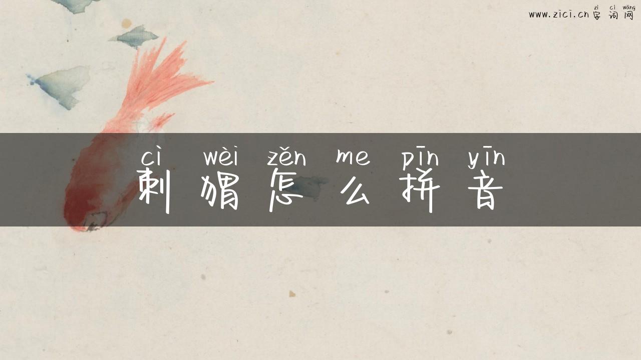 刺猬怎么拼音