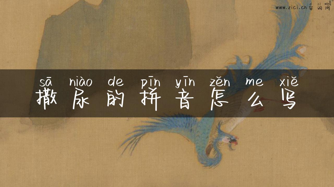 撒尿的拼音怎么写