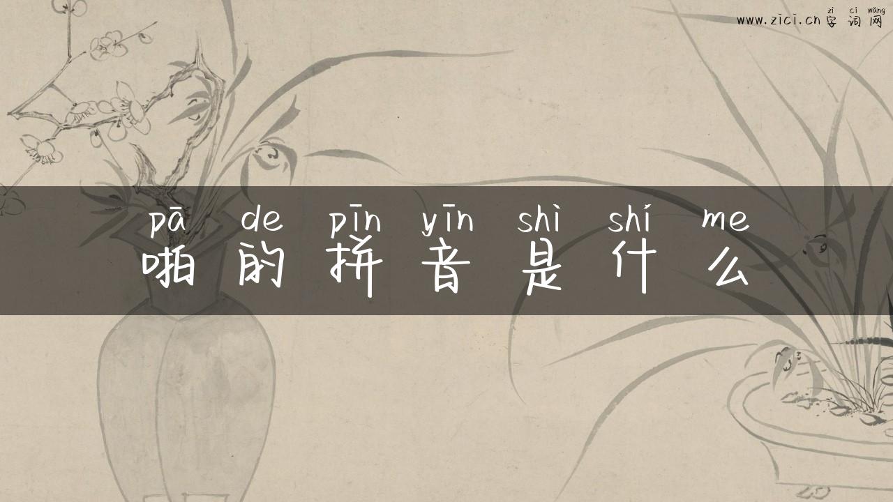 啪的拼音是什么