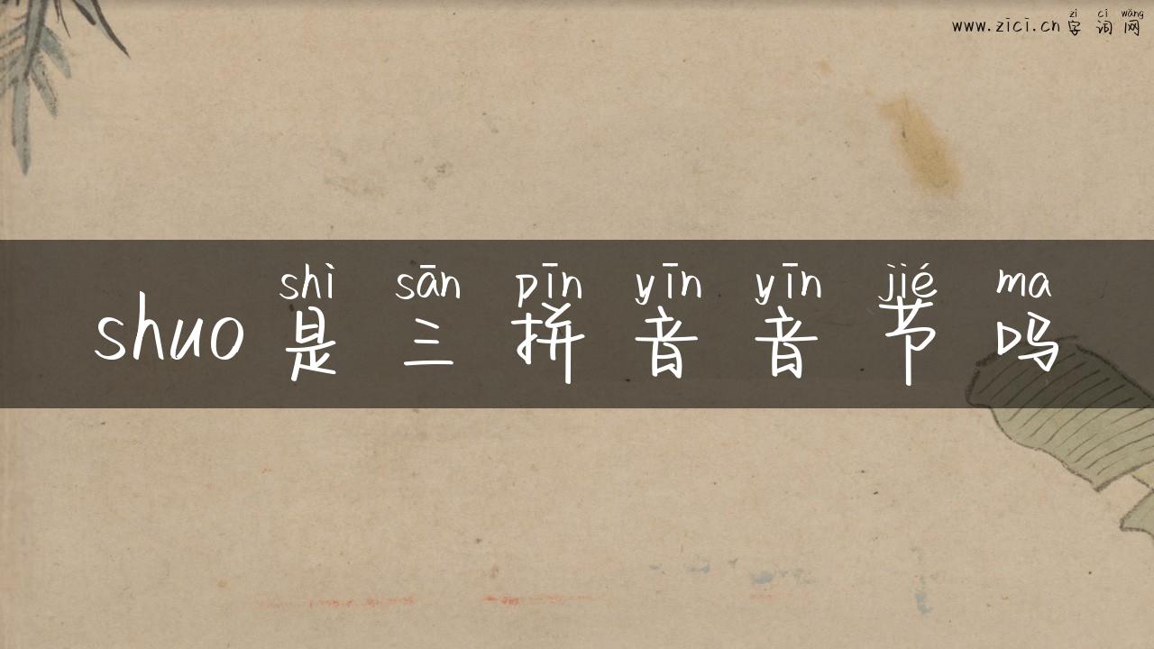 shuo是三拼音音节吗