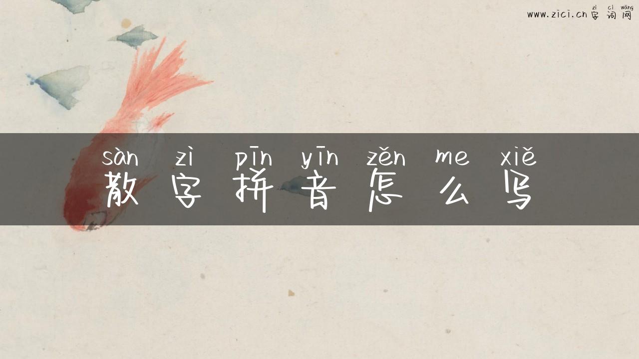 散字拼音怎么写