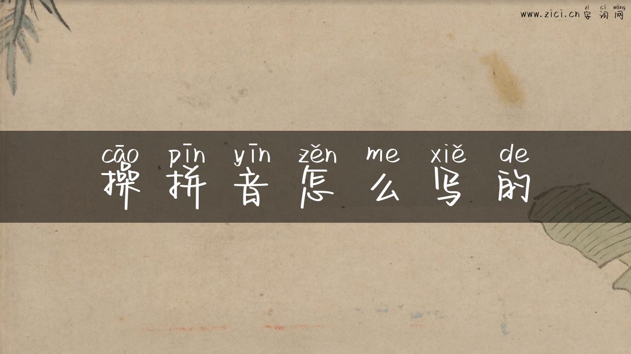 操拼音怎么写的