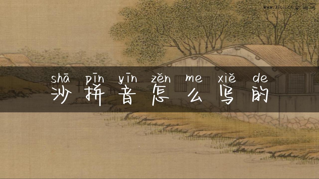沙拼音怎么写的
