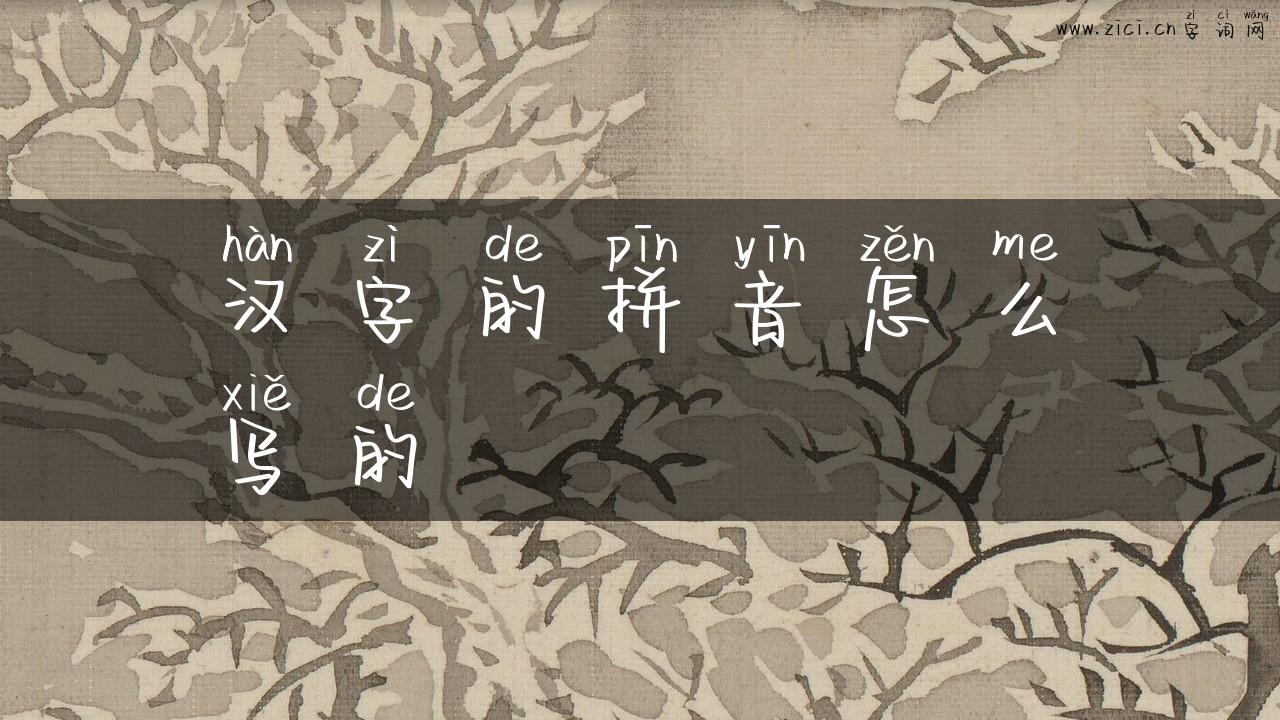 汉字的拼音怎么写的