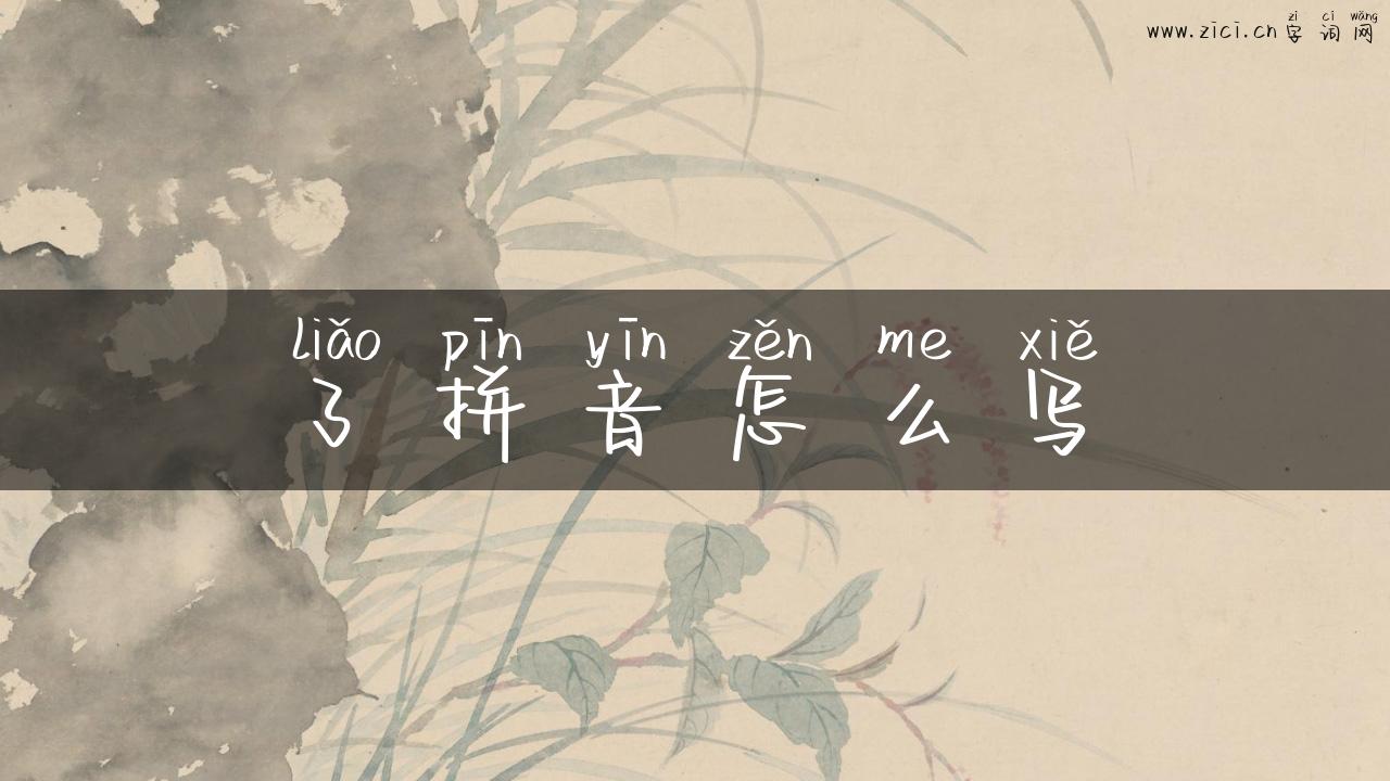 了拼音怎么写