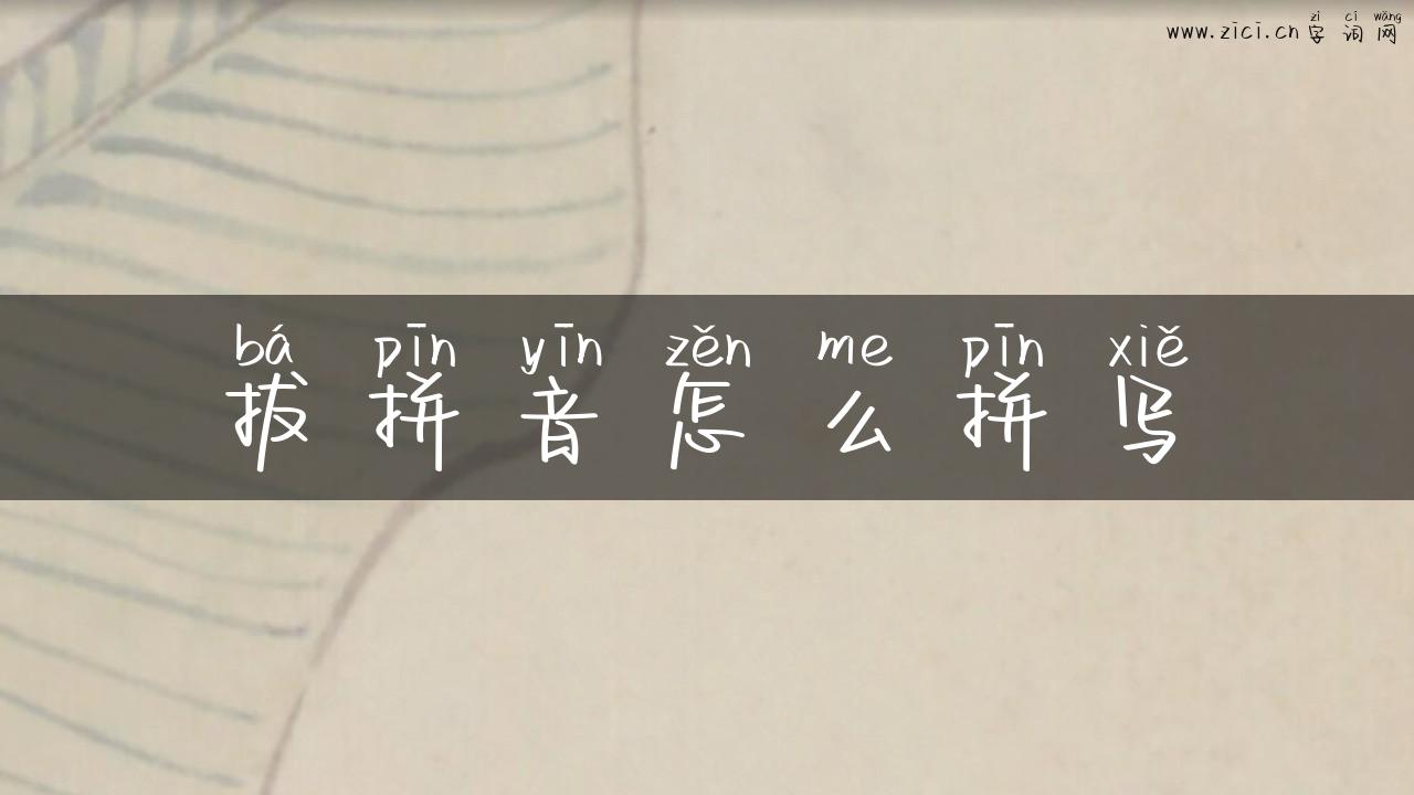 拔拼音怎么拼写