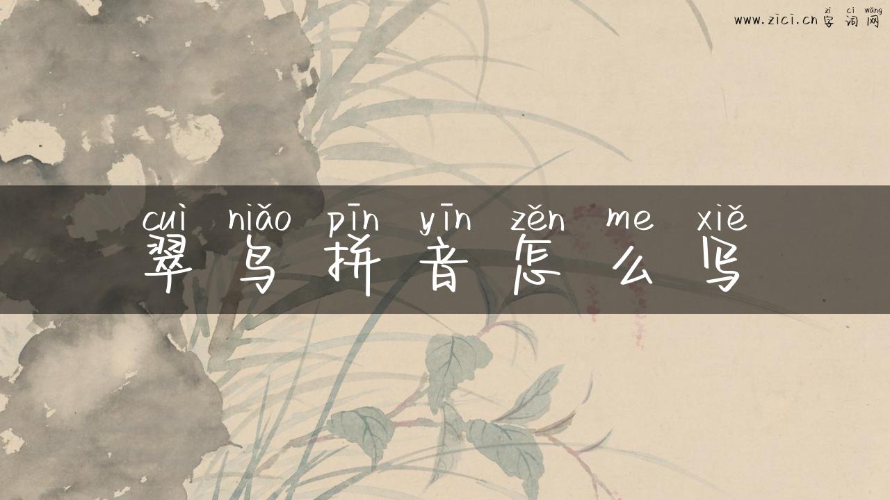 翠鸟拼音怎么写