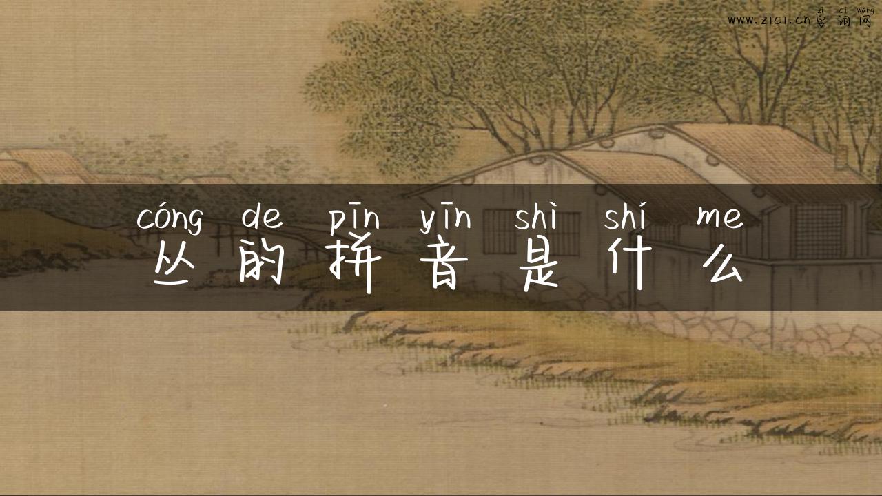 丛的拼音是什么