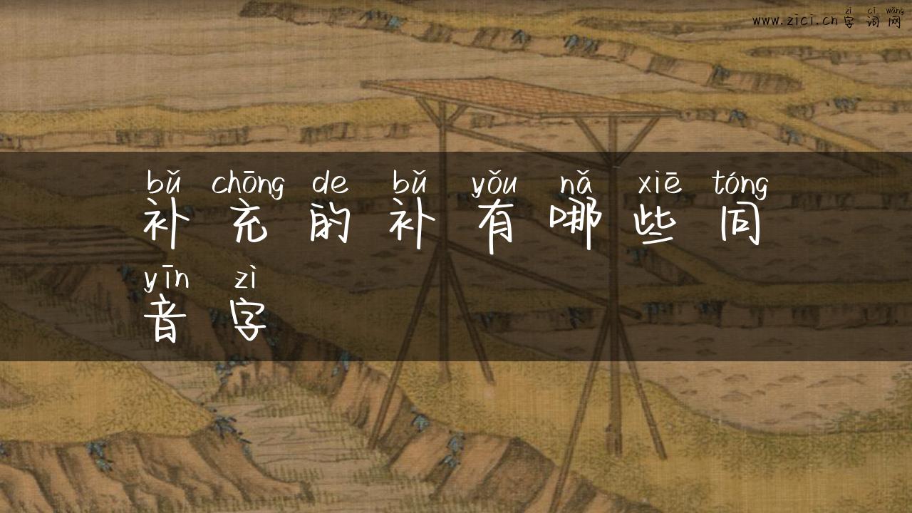补充的补有哪些同音字