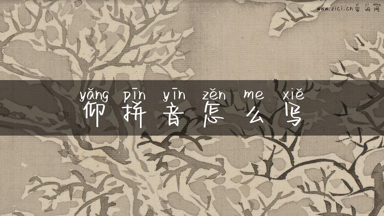 仰拼音怎么写