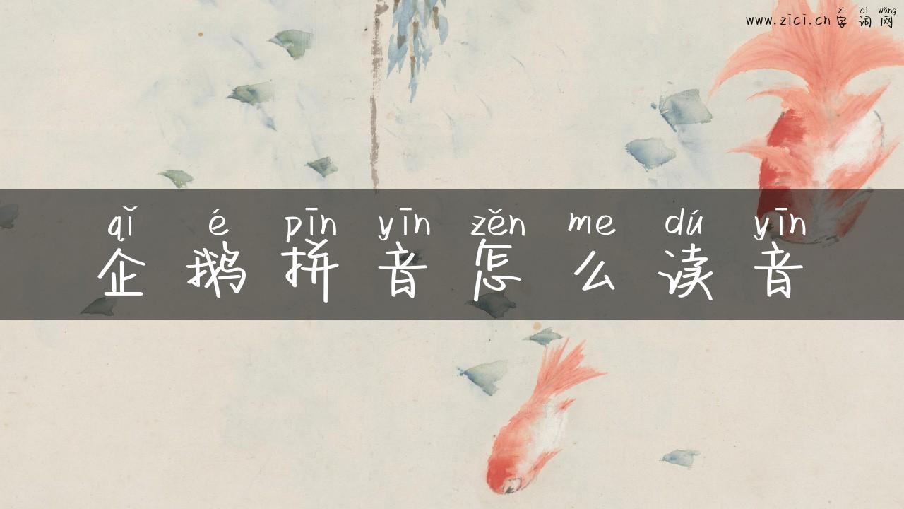 企鹅拼音怎么读音