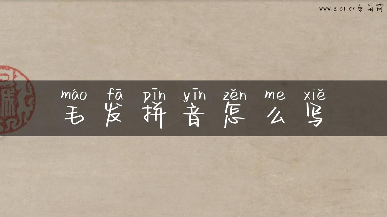 毛发拼音怎么写