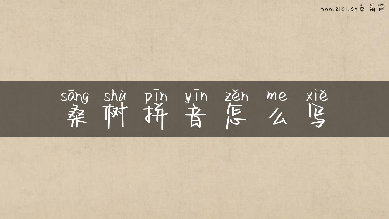 桑树拼音怎么写