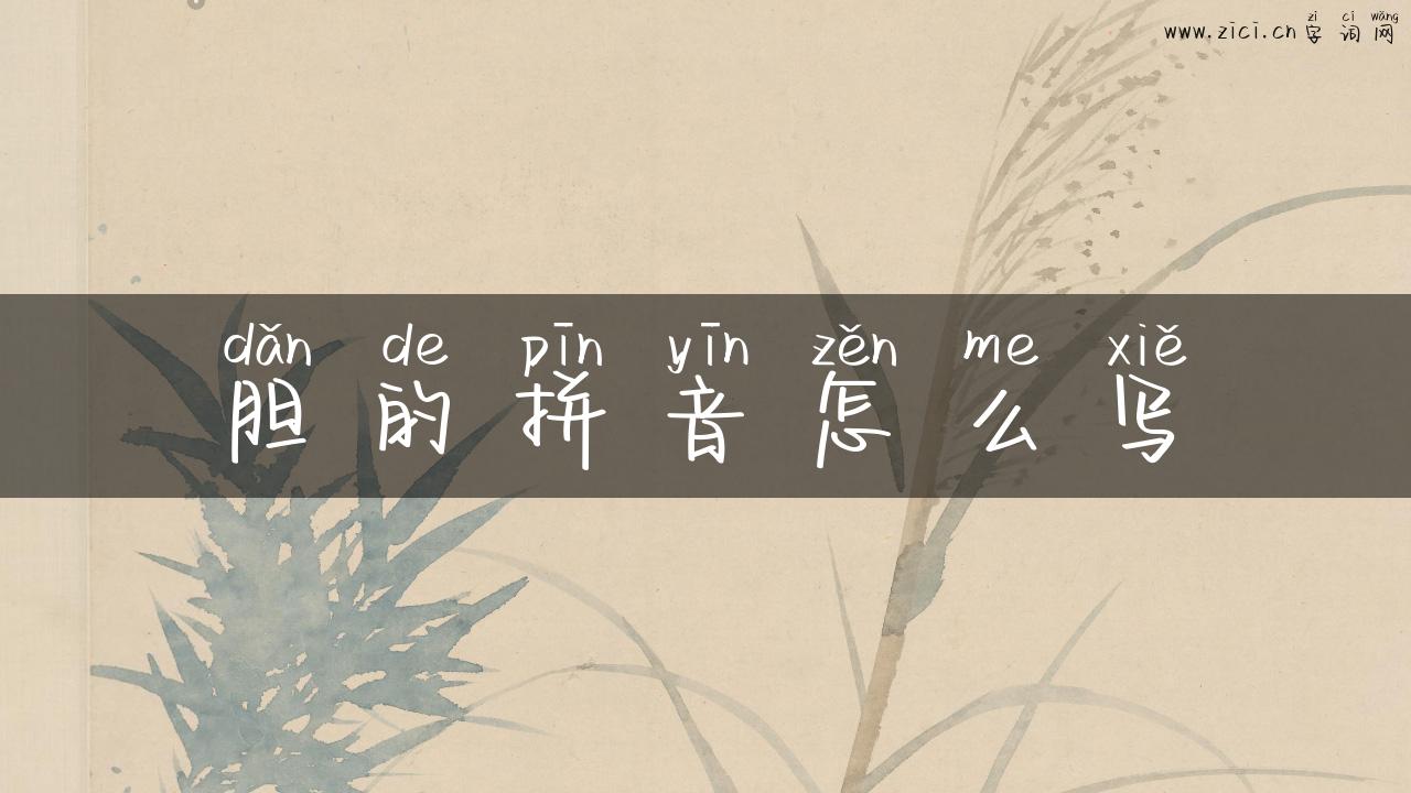 胆的拼音怎么写