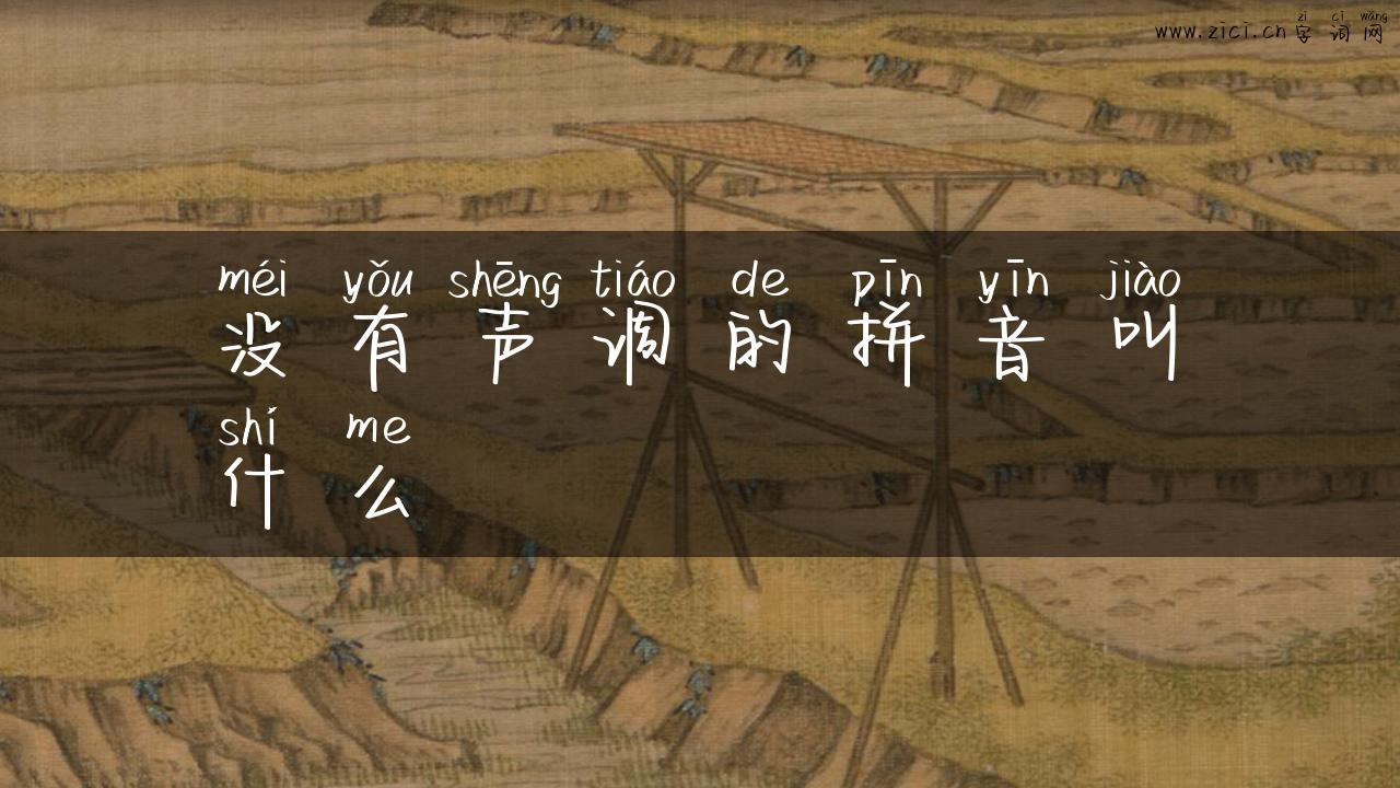 没有声调的拼音叫什么