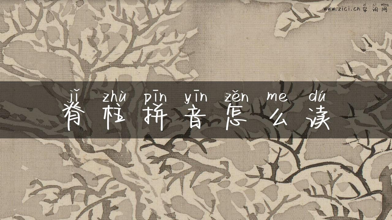 脊柱拼音怎么读