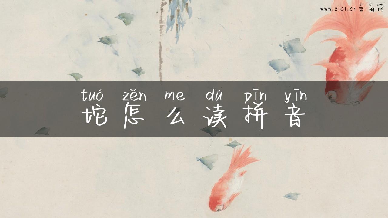 坨怎么读拼音