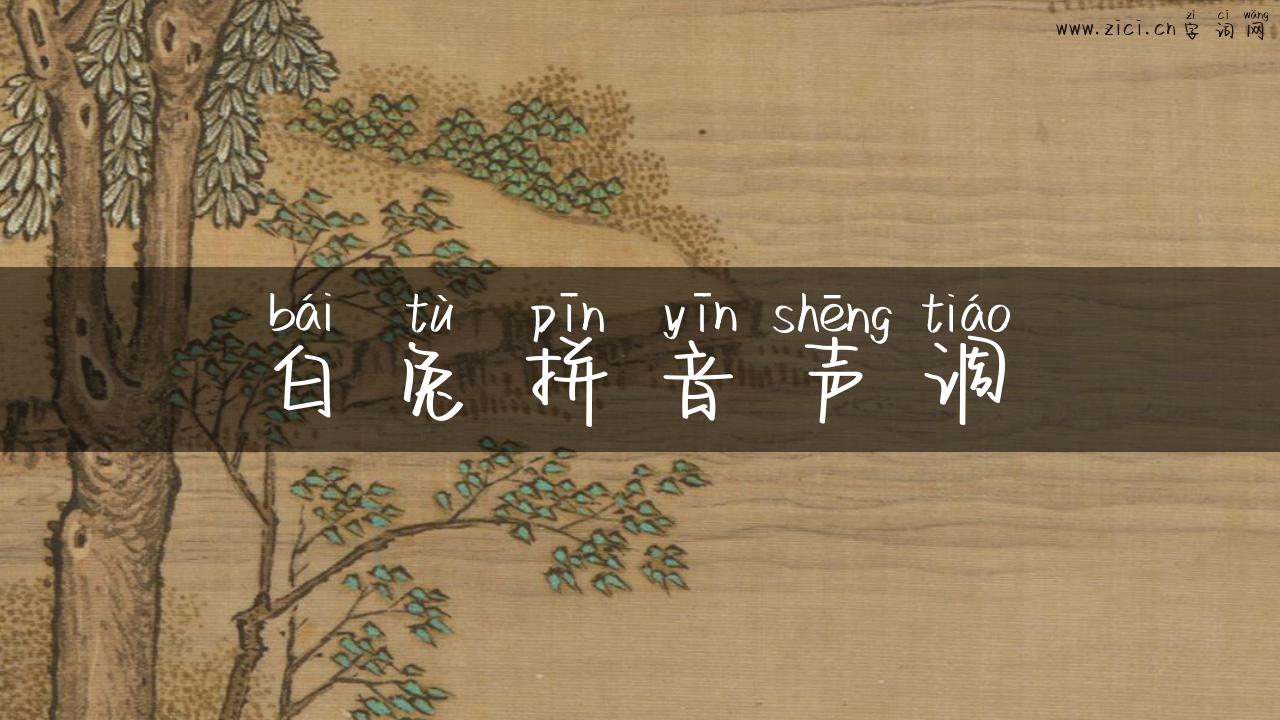 白兔拼音声调