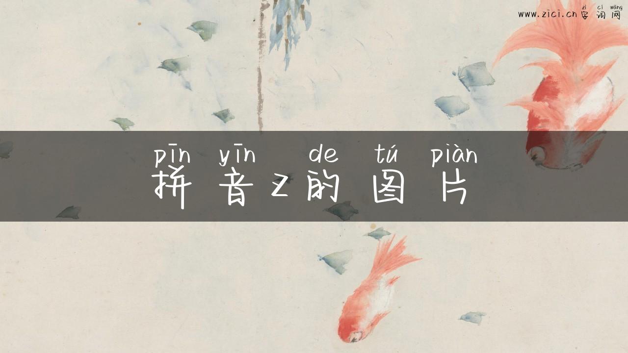 拼音z的图片