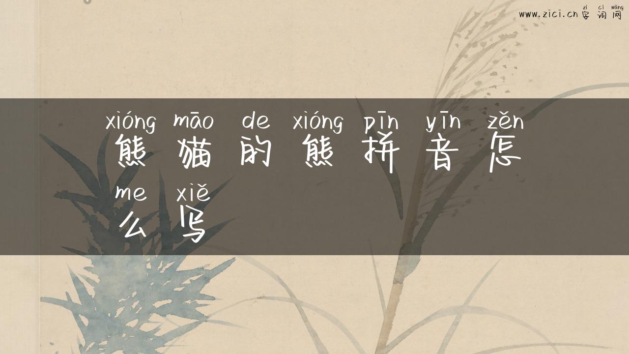 熊猫的熊拼音怎么写